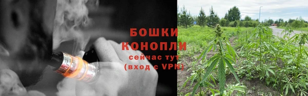 шишки Армянск