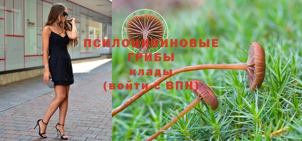 шишки Армянск