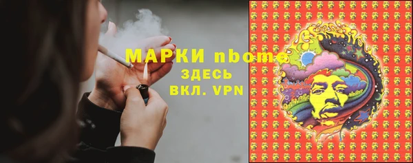 шишки Армянск